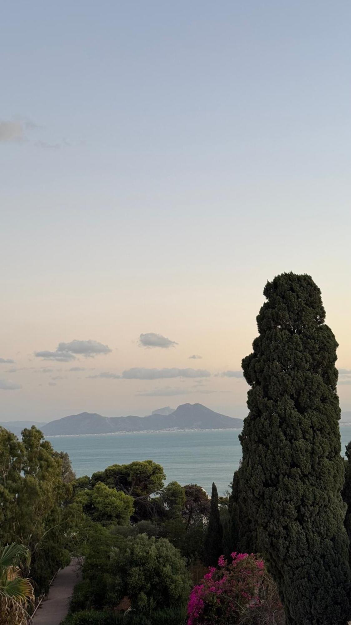 Panoramic 360 Degrees View Sidi Bousaid Sidi Bou Said Bagian luar foto